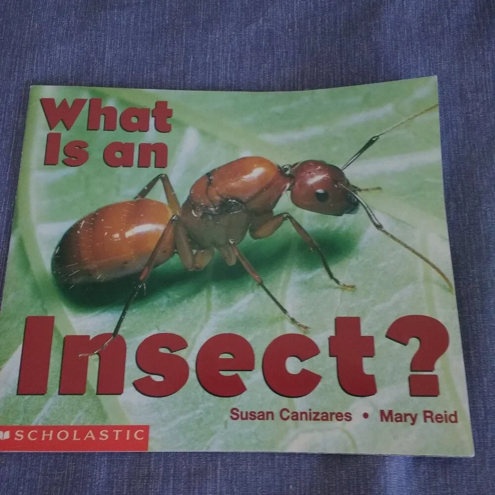 A wasp is not a bee + Spider + Reptiles + Wasp + Insect,  Science Books x 6 Set